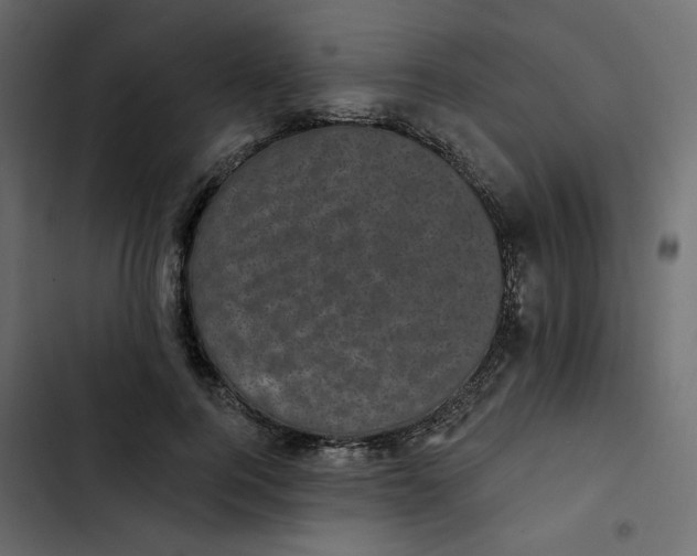 X0000102830744200809021313