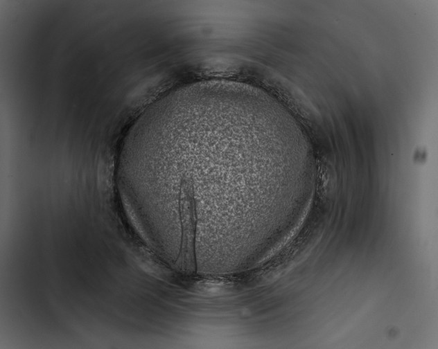 X0000102830745200809021313