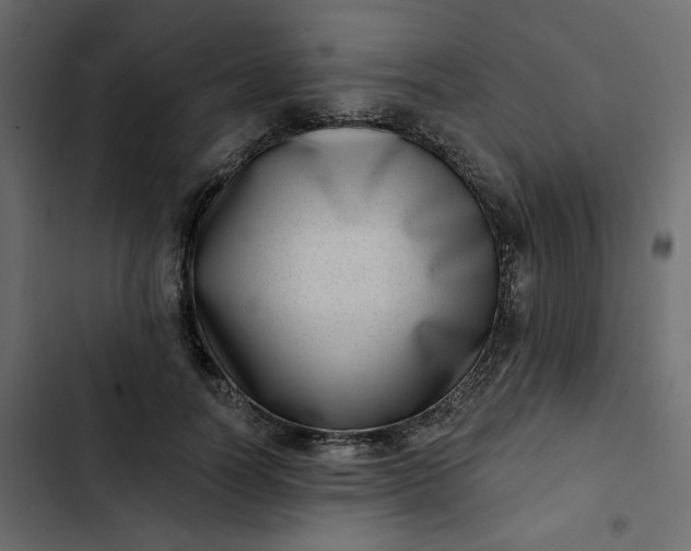 X0000102830746200809021313