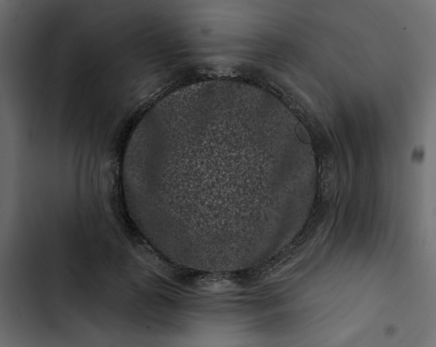 X0000102830747200809021313