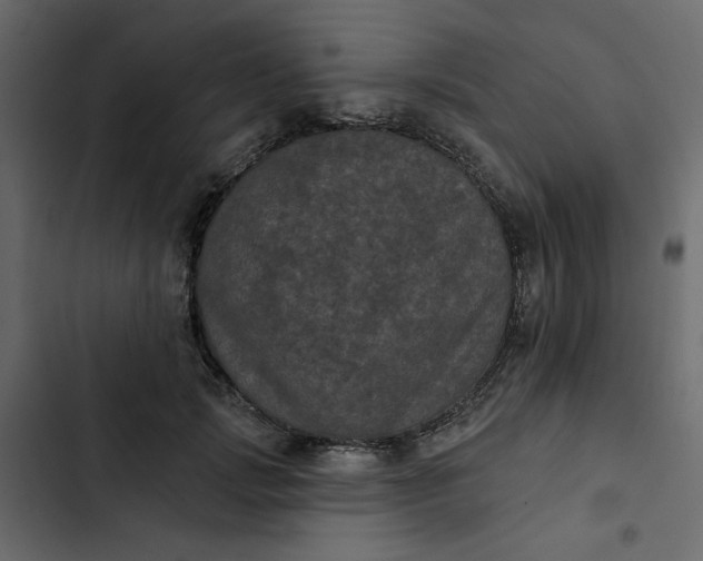 X0000102830749200809021313