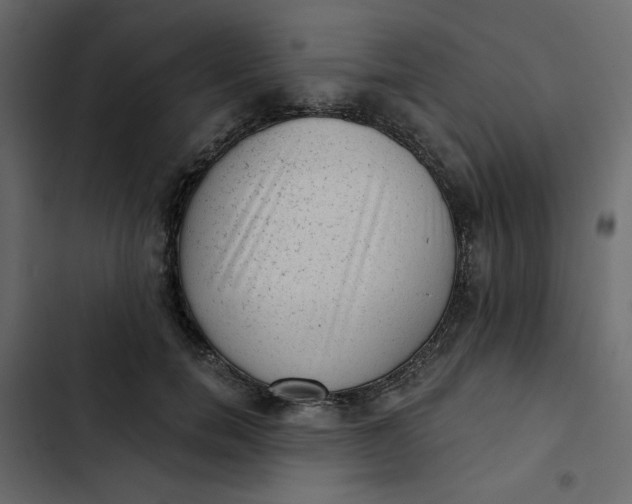 X0000102830750200809021313