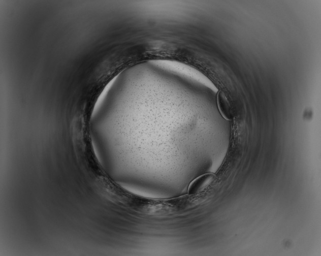 X0000102830752200809021313