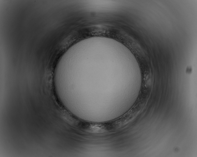 X0000102830753200809021313