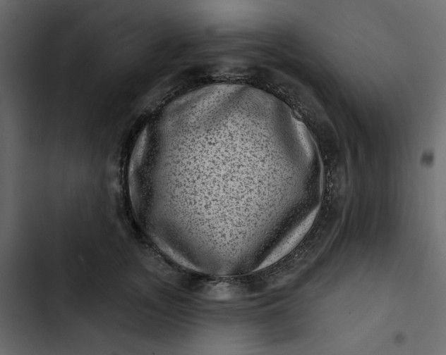 X0000102830755200809021313