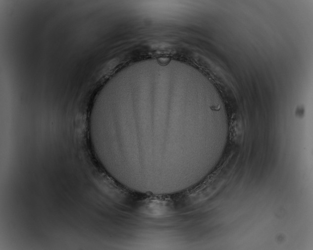 X0000102830756200809021313