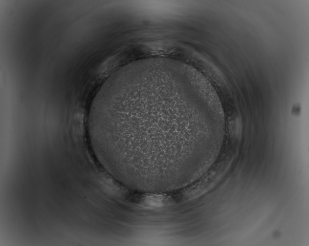 X0000102830757200809021313