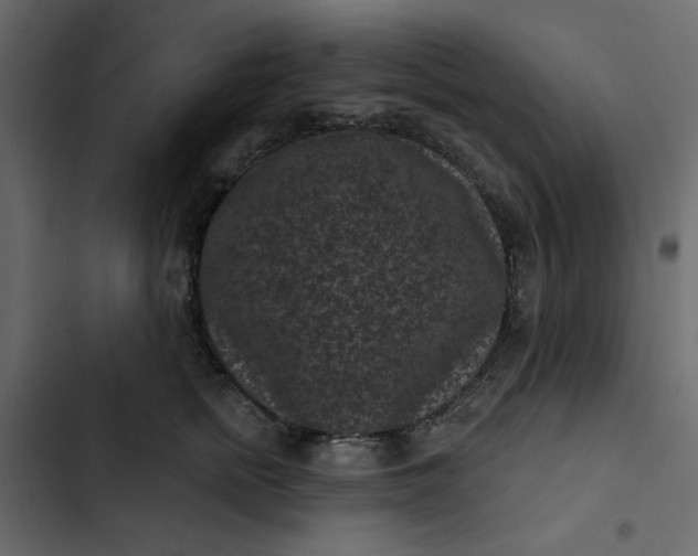 X0000102830758200809021313