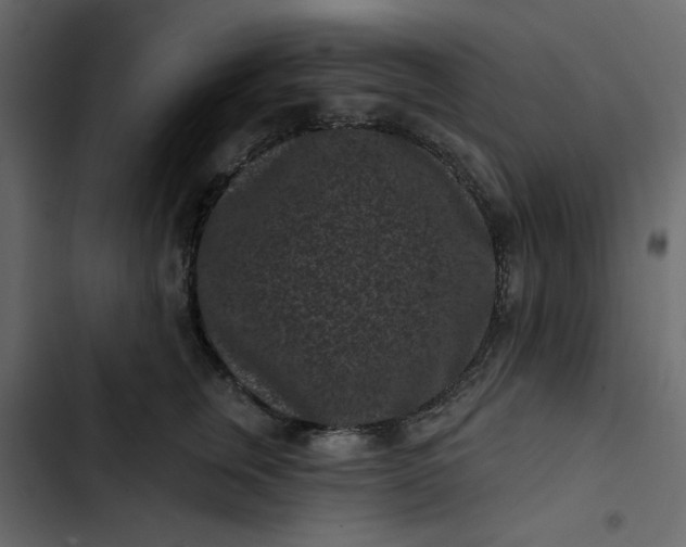 X0000102830759200809021313