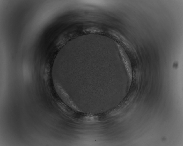 X0000102830760200809021313