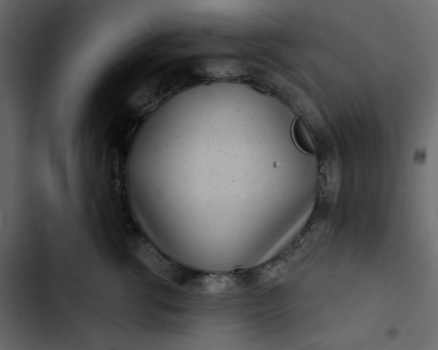 X0000102830762200809021313