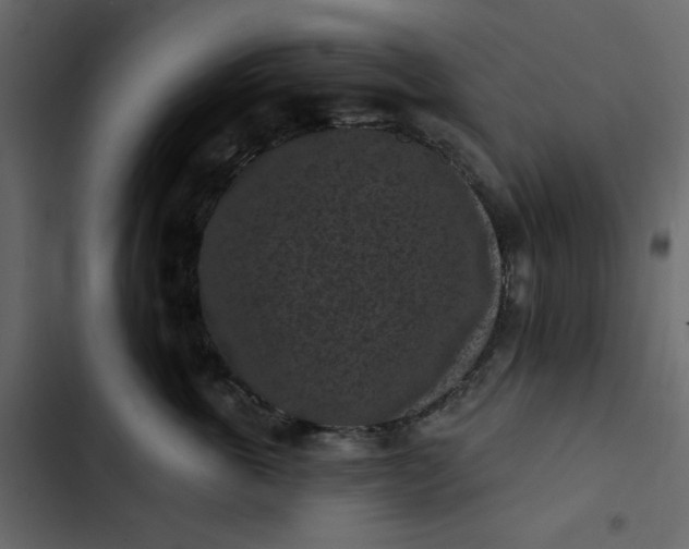 X0000102830763200809021313