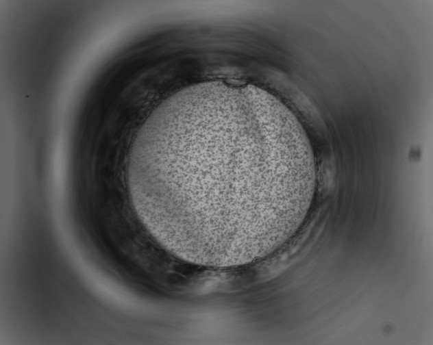 X0000102830764200809021313