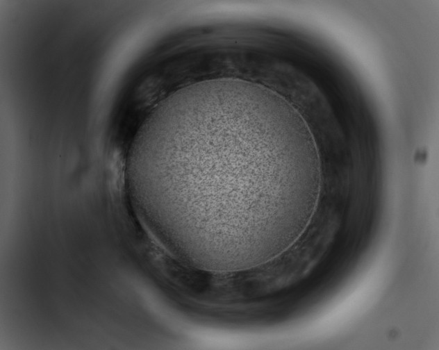 X0000102830766200809021313