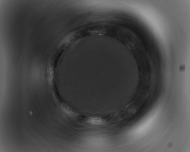 X0000102830767200809021313