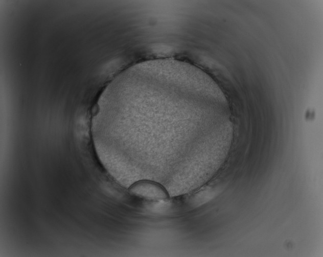 X0000102830768200809021313