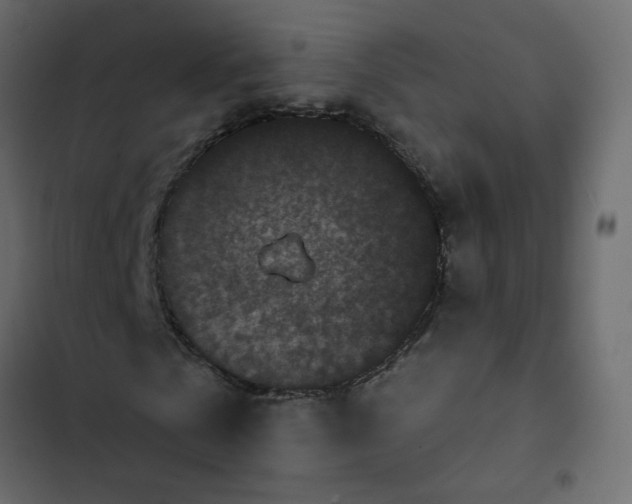 X0000102830769200809021313