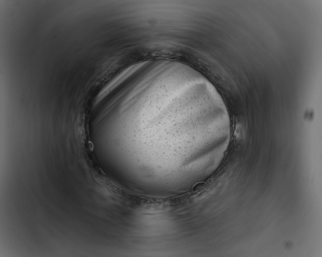 X0000102830771200809021312