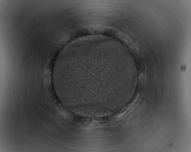 X0000102830772200809021312