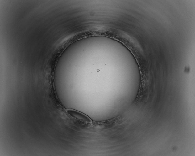 X0000102830773200809021312