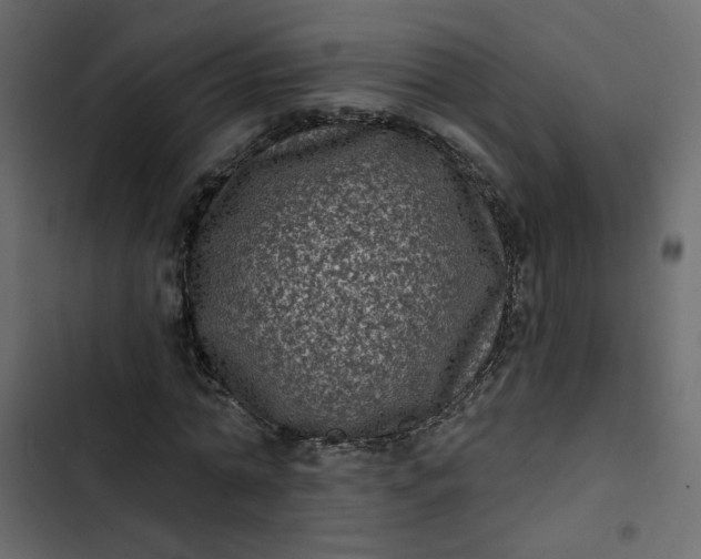 X0000102830774200809021312