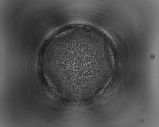 X0000102830775200809021312