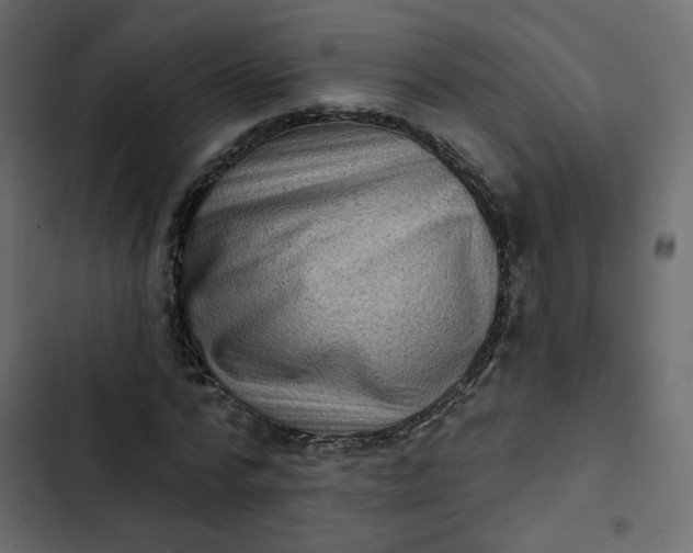 X0000102830776200809021312