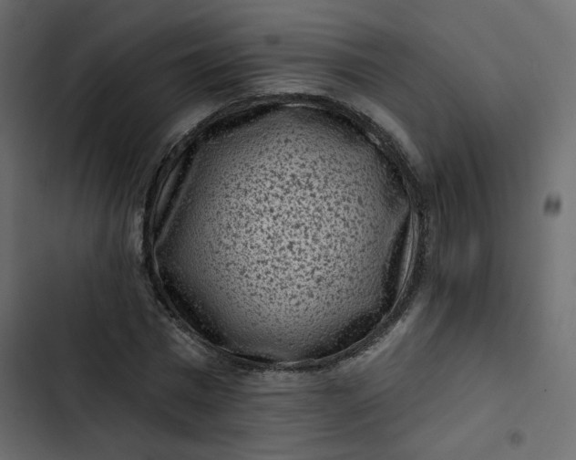 X0000102830777200809021312