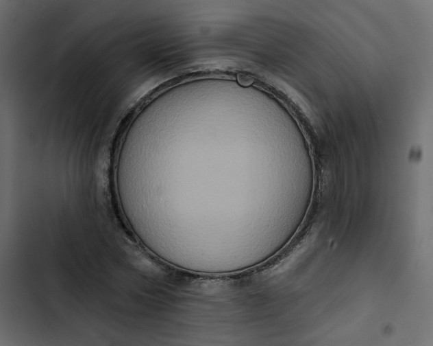 X0000102830778200809021312