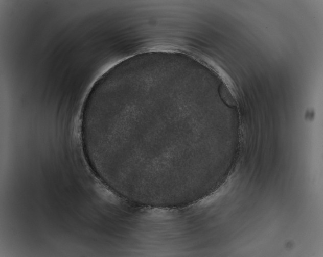 X0000102830779200809021312