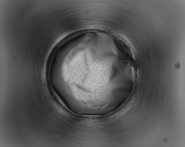 X0000102830780200809021312