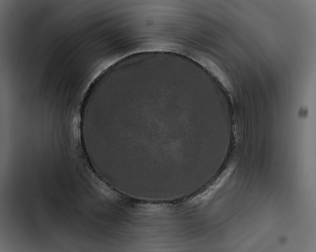 X0000102830781200809021312