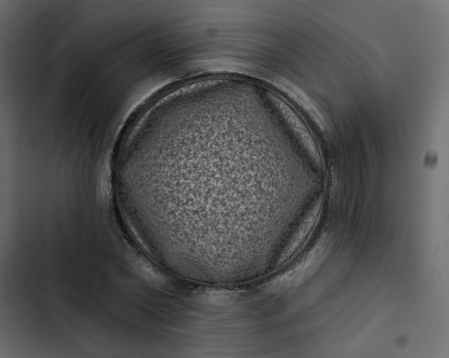 X0000102830782200809021312