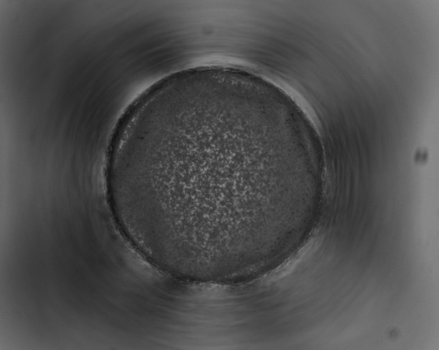 X0000102830783200809021312