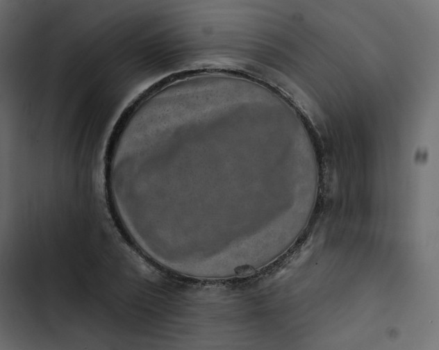 X0000102830784200809021312