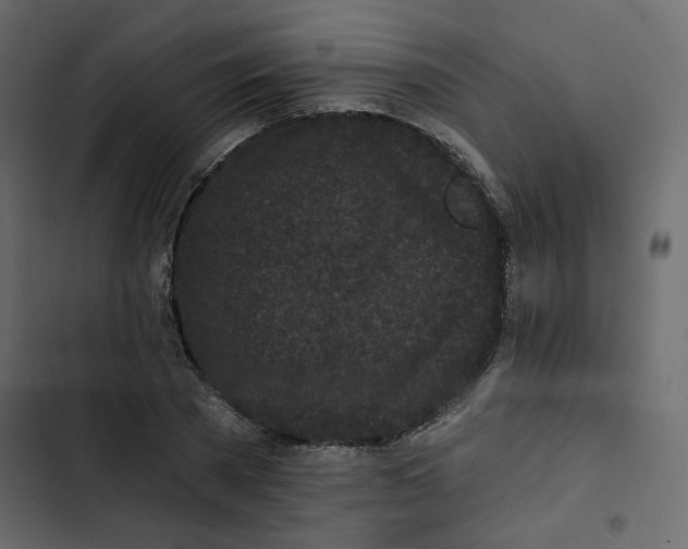 X0000102830785200809021312