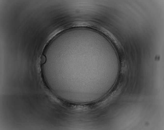 X0000102830786200809021312