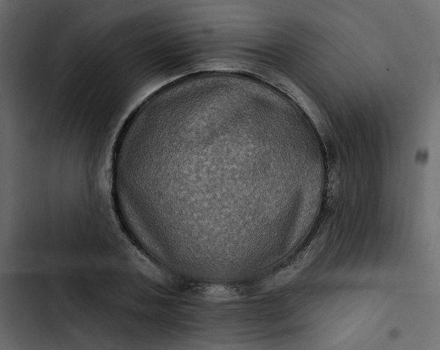 X0000102830787200809021312