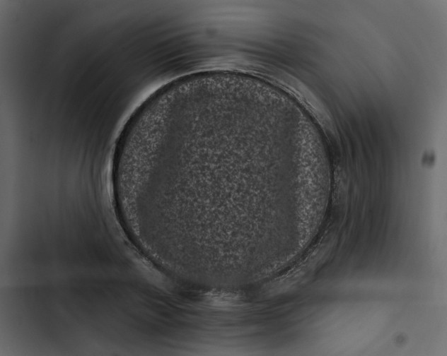 X0000102830788200809021312