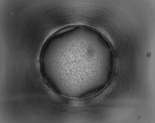 X0000102830789200809021312