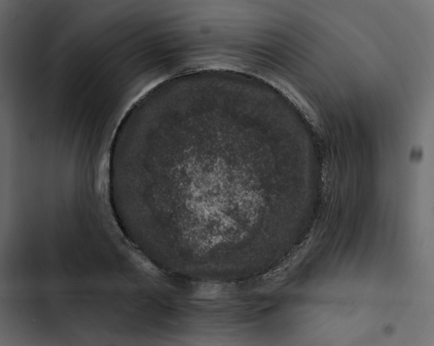 X0000102830790200809021312