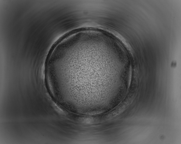 X0000102830791200809021312