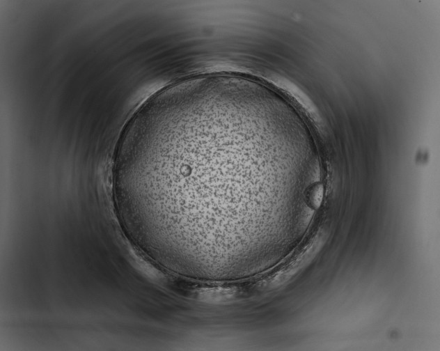 X0000102830793200809021312