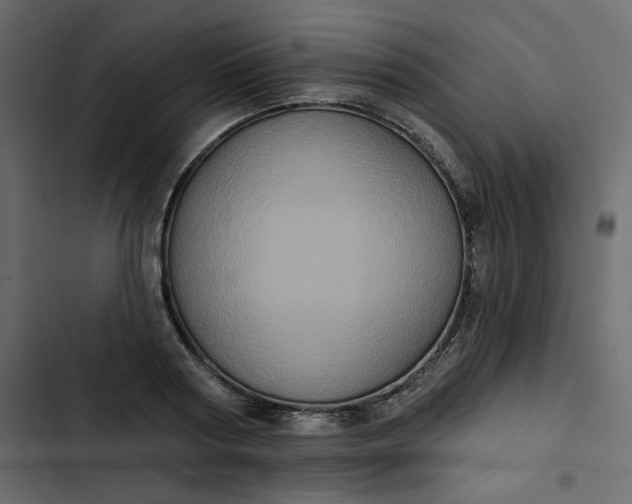 X0000102830794200809021312