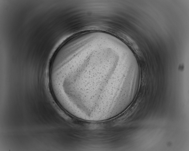 X0000102830796200809021312