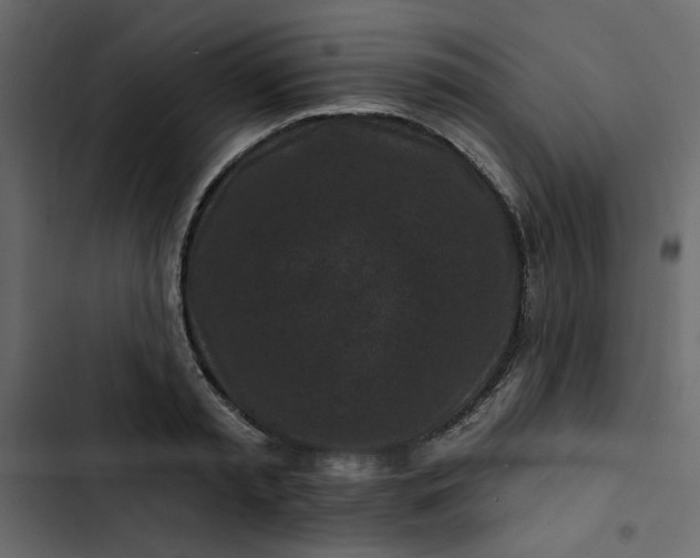 X0000102830797200809021312