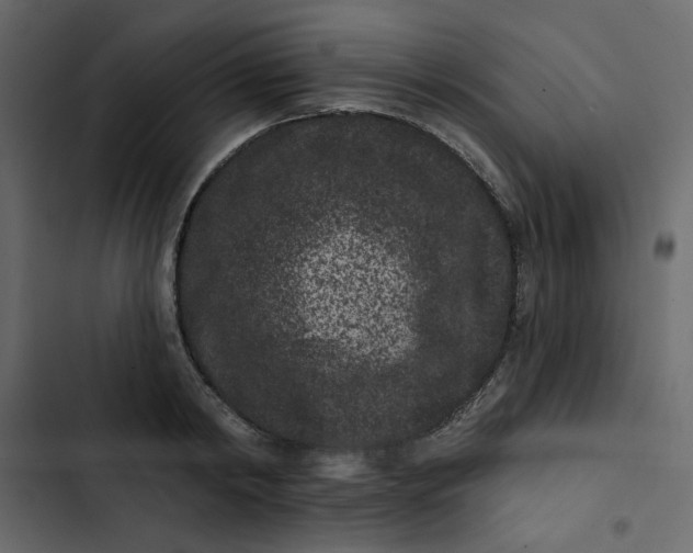 X0000102830798200809021312