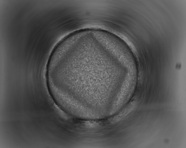 X0000102830799200809021312