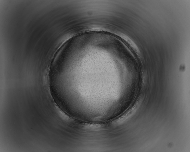 X0000102830801200809021312