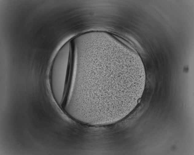 X0000102830804200809021312